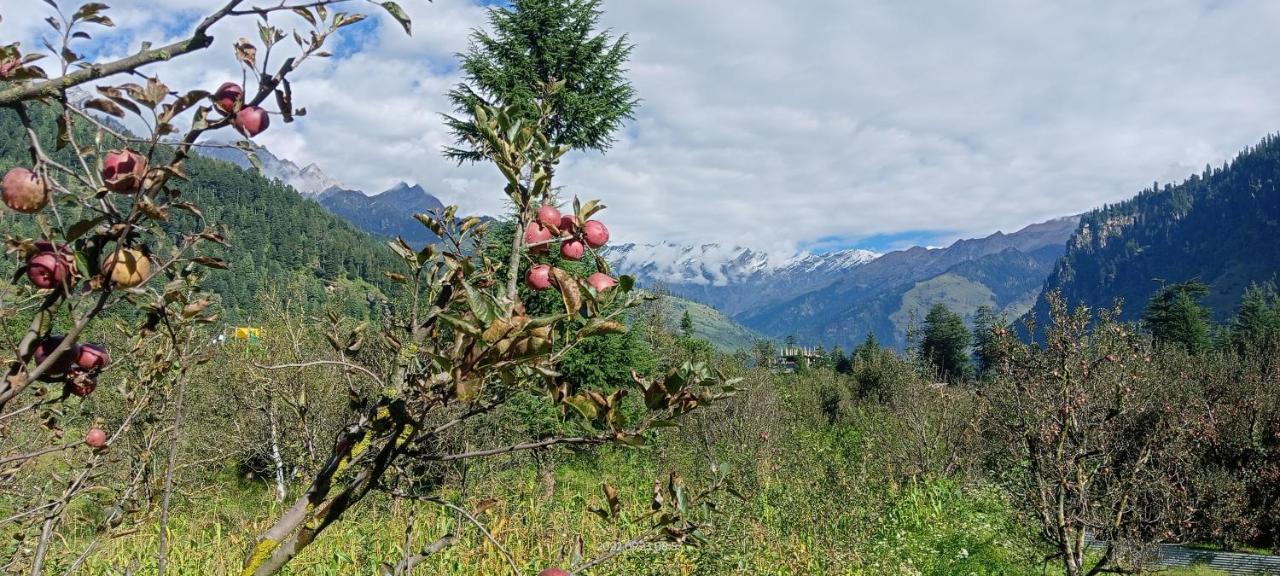Apple Flower With Balcony And Mountain View Manāli Exterior foto