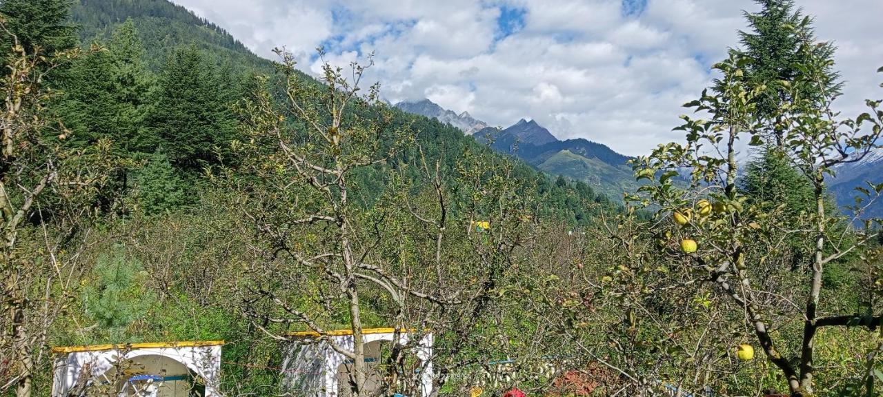 Apple Flower With Balcony And Mountain View Manāli Exterior foto